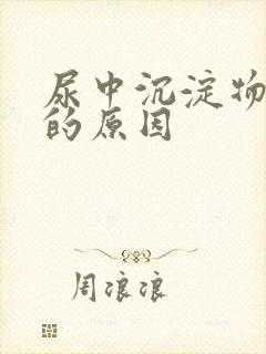 尿中沉淀物形成的原因