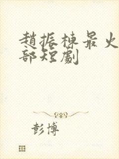 赵振栋最火10部短剧