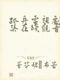 孤舟电视剧40集在线观看免费高清