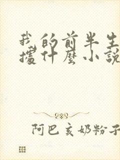 我的前半生是根据什么小说改编的