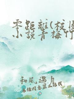 零距离(校园)小说青梅竹马