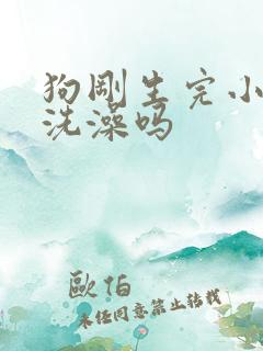 狗刚生完小狗能洗澡吗