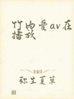 竹内爱av在线播放