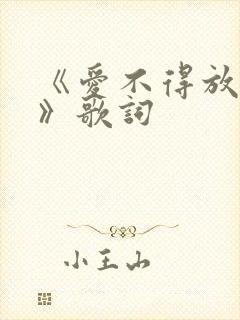《爱不得放不舍》歌词