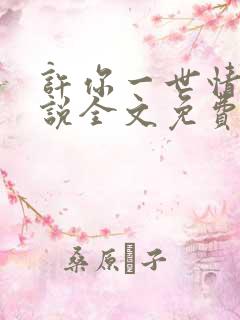 许你一世情深小说全文免费阅读