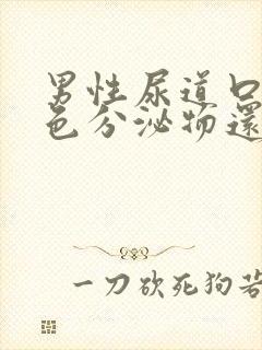 男性尿道口有白色分泌物还有点痒