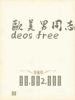 欧美男同志videos free