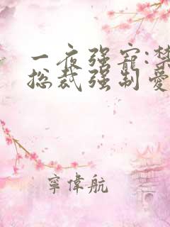 一夜强宠:禁欲总裁强制爱