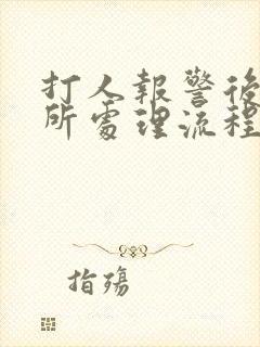 打人报警后派出所处理流程