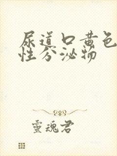 尿道口黄色液体性分泌物