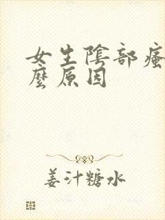 女生阴部瘙痒什么原因