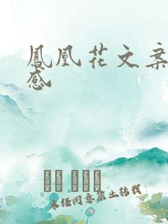 凤凰花文案高级感