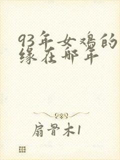 93年女鸡的姻缘在哪年