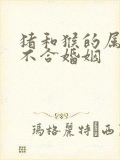 猪和猴的属相合不合婚姻