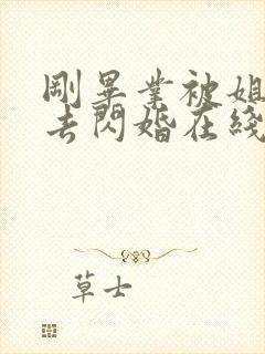 刚毕业被姐姐拉去闪婚在线观看