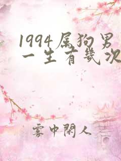 1994属狗男一生有几次婚姻