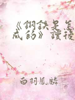 《钢铁是怎样炼成的》读后感100字左右