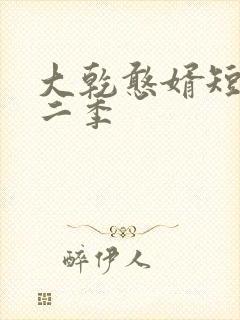 大乾憨婿短剧第二季