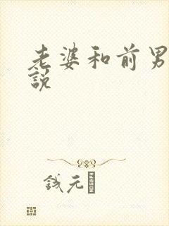 老婆和前男友小说