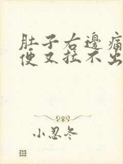 肚子右边痛想大便又拉不出