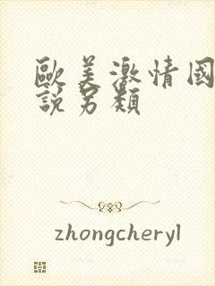 欧美激情国产小说另类