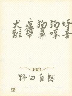 犬瘟狗狗呼吸困难带鼻哼音