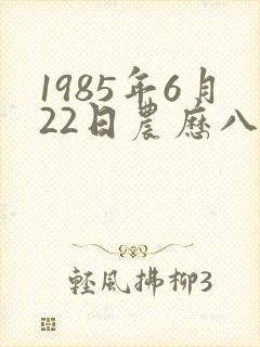 1985年6月22日农历八字