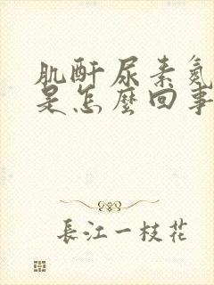 肌酐尿素氮偏高是怎么回事