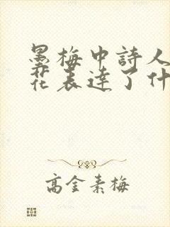 墨梅中诗人借梅花表达了什么