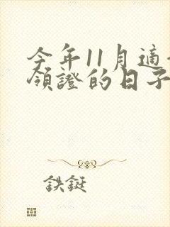 今年11月适合领证的日子