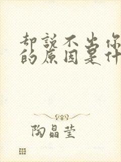 却说不出你爱我的原因是什么歌