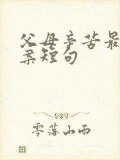 父母辛苦最火文案短句