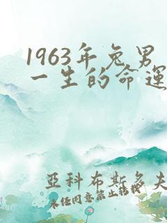 1963年兔男一生的命运详解