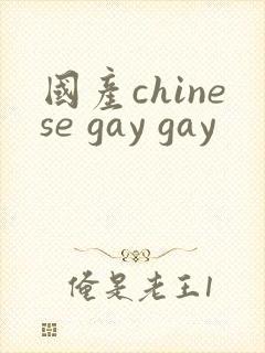 国产chinese gay gay
