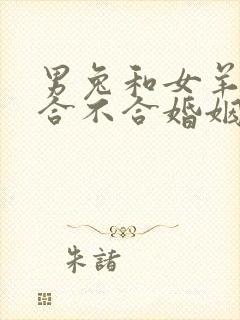 男兔和女羊属相合不合婚姻