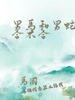 男马和男蛇属相合不合