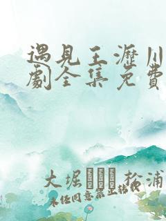 遇见王沥川电视剧全集免费观看完整版