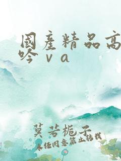 国产精品高潮呻吟ⅴa