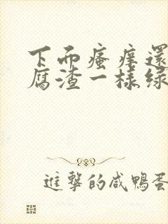 下面瘙痒还有豆腐渣一样绿色的分泌物