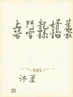 上门龙婿叶辰夏若雪孙怡最新章节