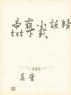 帝霸小说精校版txt下载