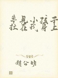 梦见小孩子大便拉在我身上