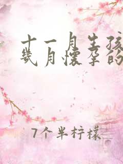 十一月生孩子是几月怀孕的