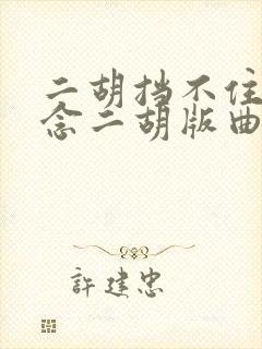 二胡挡不住的思念二胡版曲谱