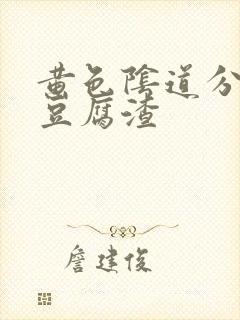 黄色阴道分泌物豆腐渣