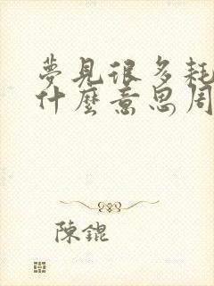 梦见很多耗子是什么意思周公解梦