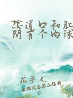 阴道口和肛门中间有个肉球