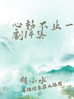 心动不止一刻短剧14集
