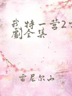 我特一营2电视剧全集