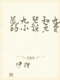 凤九儿和九皇叔的小说免费